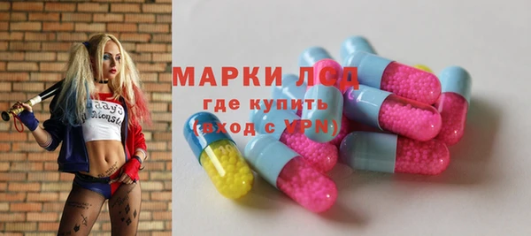 амф Грязи