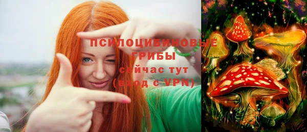 мескалин Михайлов