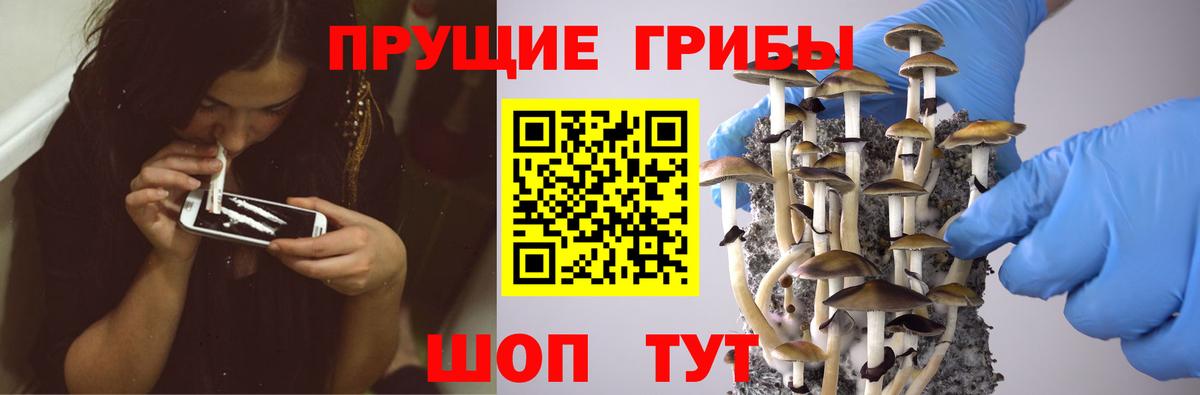 Кизилюрт  Псилоцибиновые грибы Psilocybine cubensis  Вход с VPN  Псилоцибиновые грибы Magic Shrooms 